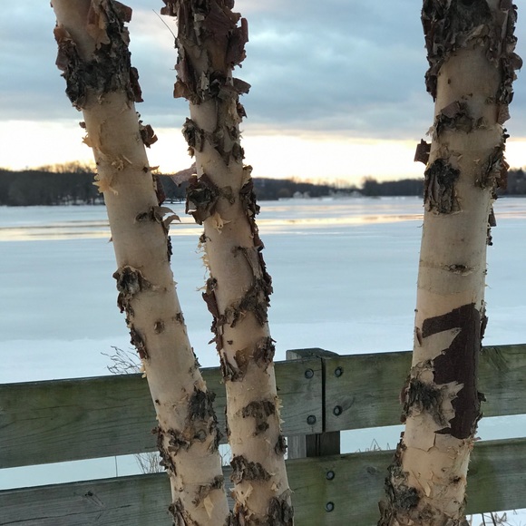 Meet your Posher, Sheila - Picture 3 of 4